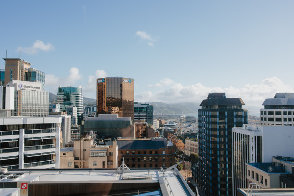 View of Wellington buildings on a sunny day