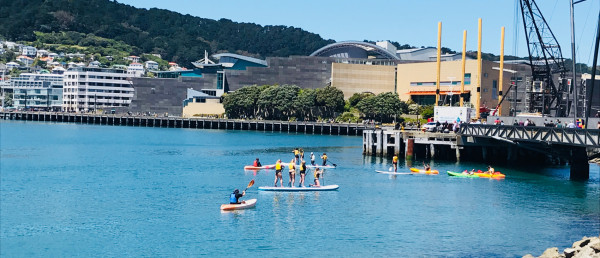 Wellington harbour on sunny day with paddle boarders and kayakers in water
