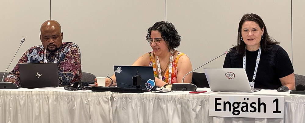 Three person panel at ICANN83