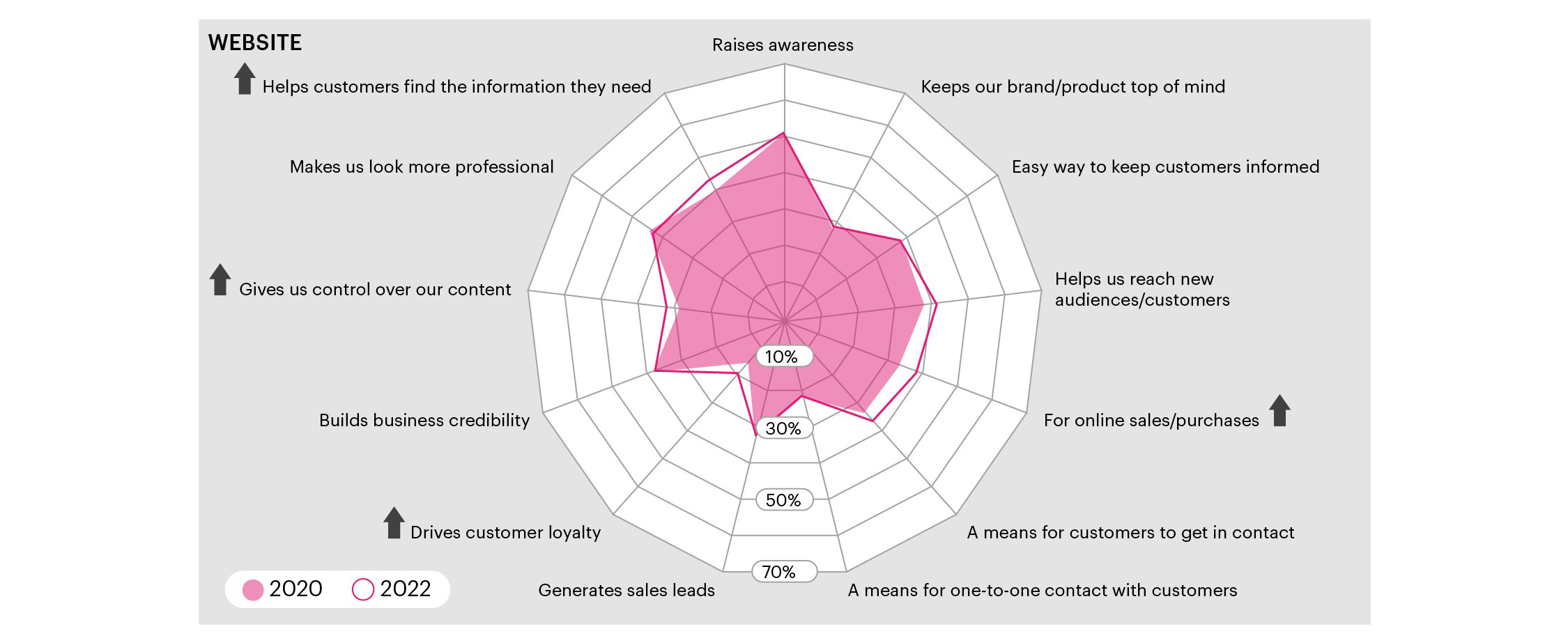 Figure 3 Graph showing businesses' reasons to have a website. Described under heading Businesses' reasons for having website chart description