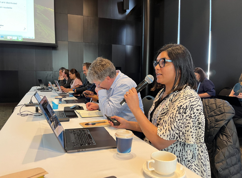 A woman with a microphone speaking at a conference table, with other people sitting beside her.