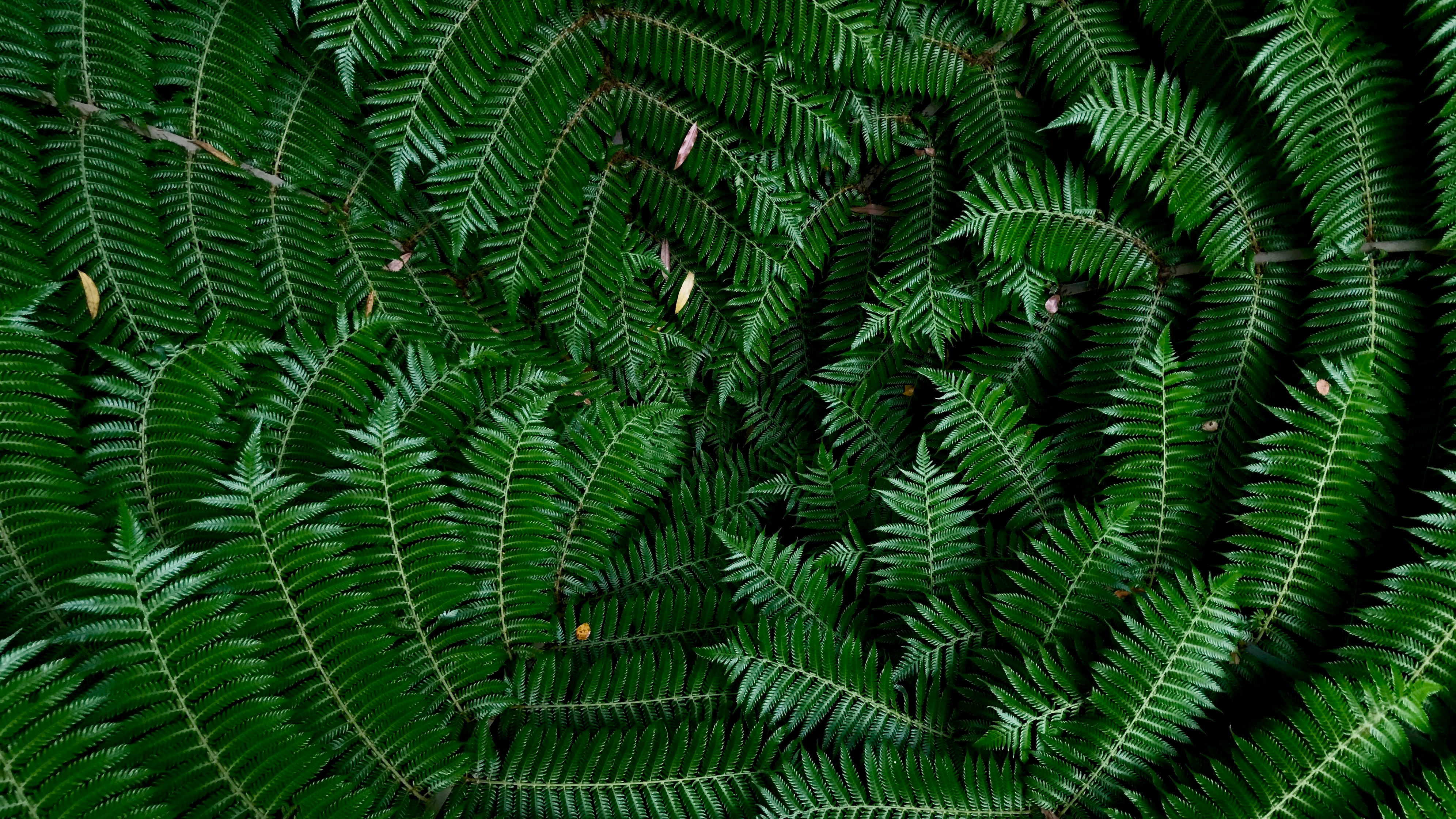 bryn parish IDXsYT5xVEE unsplash