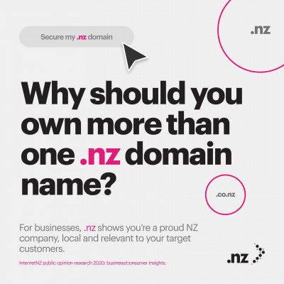 Illustration that says 'Why should you own more than one .nz domain?'